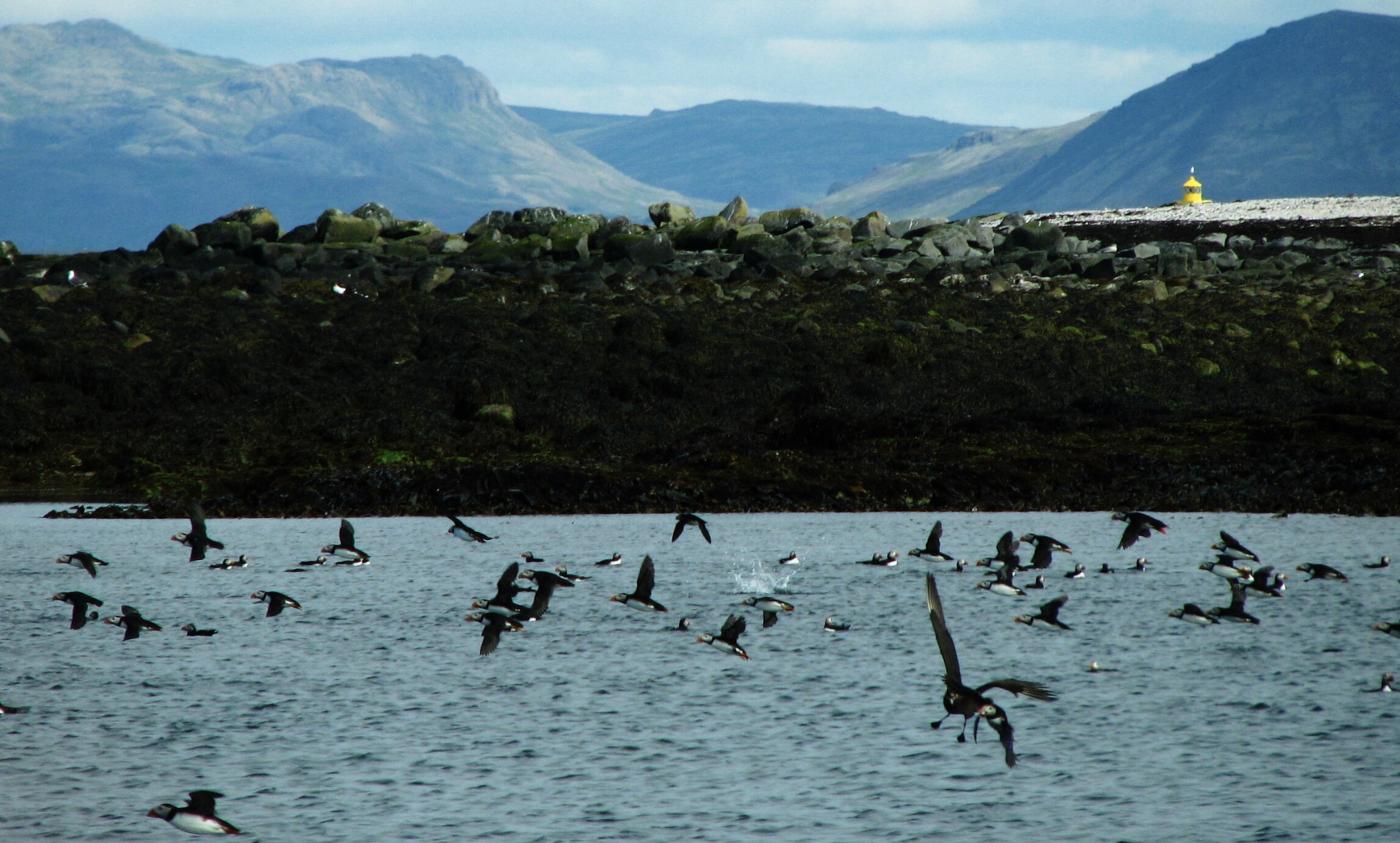 Lundey, Iceland